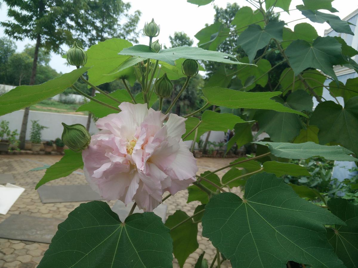 La Grace Integral Retreat Otel Pondicherry Dış mekan fotoğraf